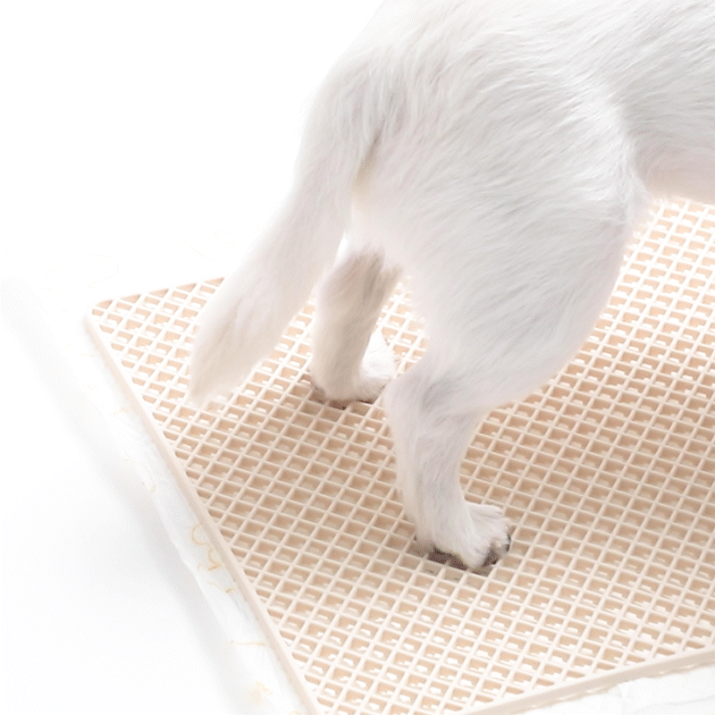 Zero Guard Silicone Mat Pet Toilet for Pee Pad