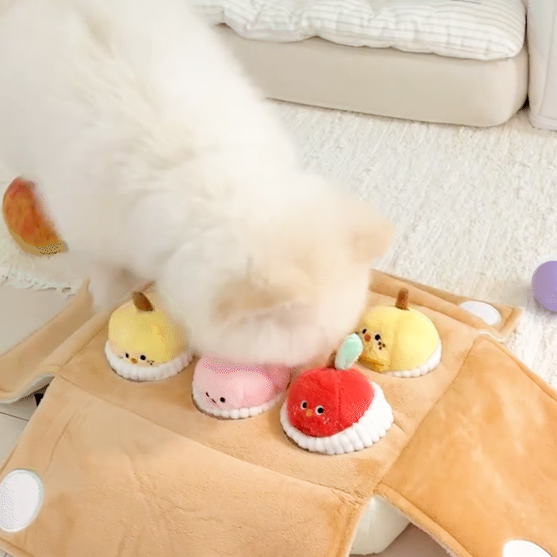 Mixed Fruits Box Nosework Toy