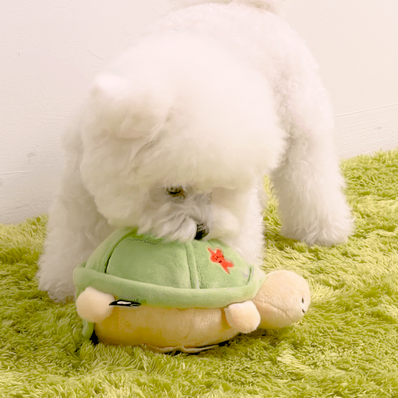 Jumping Boogie Auto-Ball Toy with Snuffle Mat Set