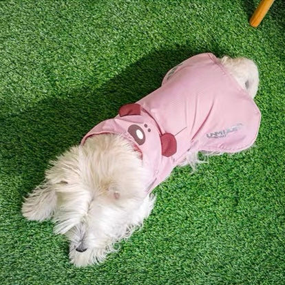 Waterproof Cute Bear Pet Rain Coat with Hood