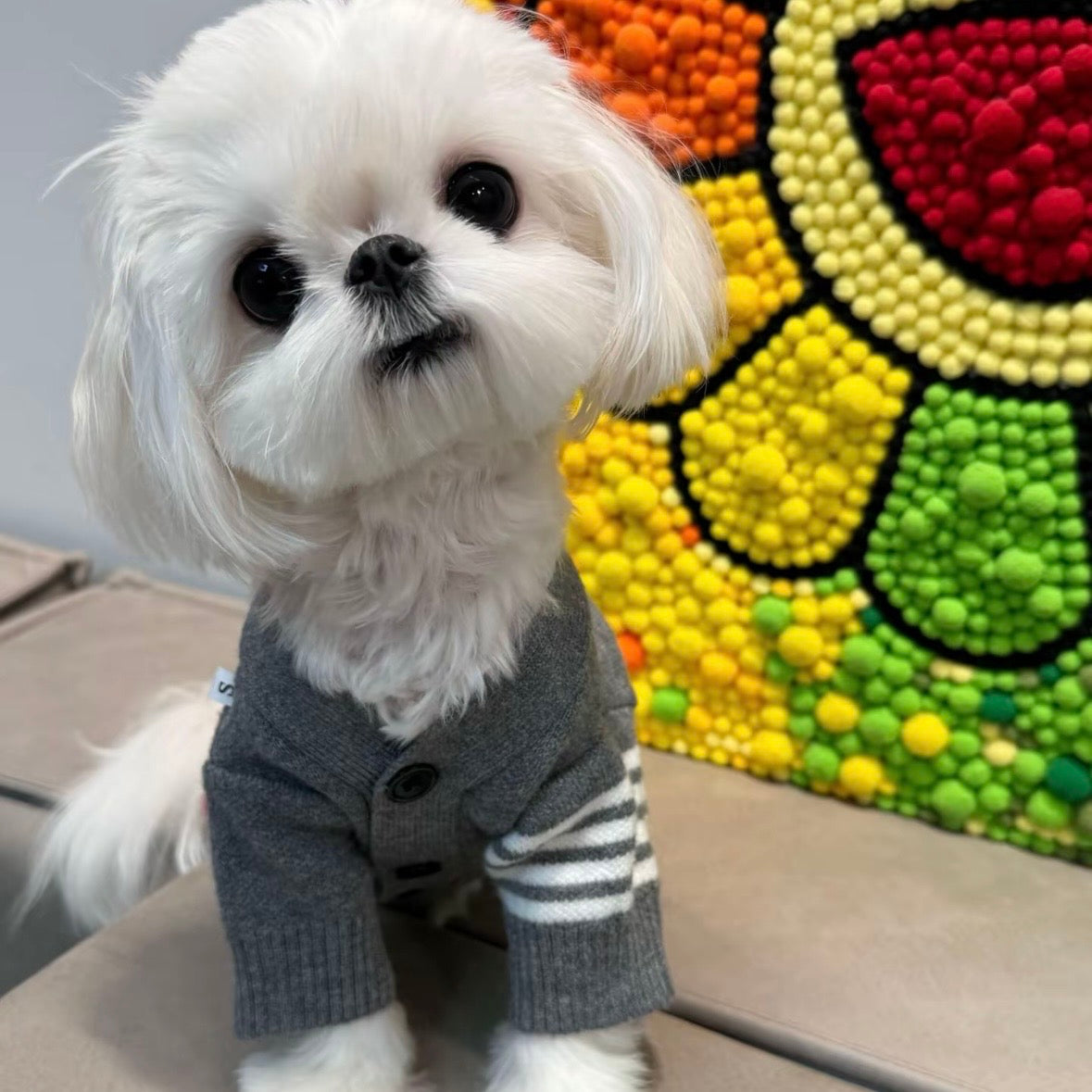 Pet Buttoned Striped Sweater Cardigan Top