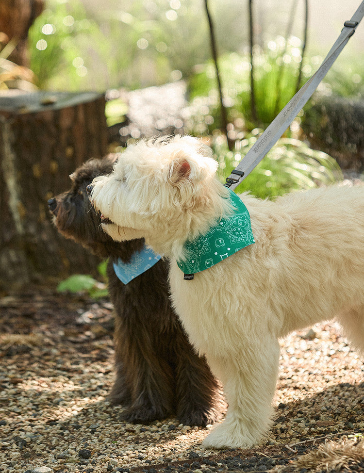 Joybear Bug Guard Bandana Reversible Bibs
