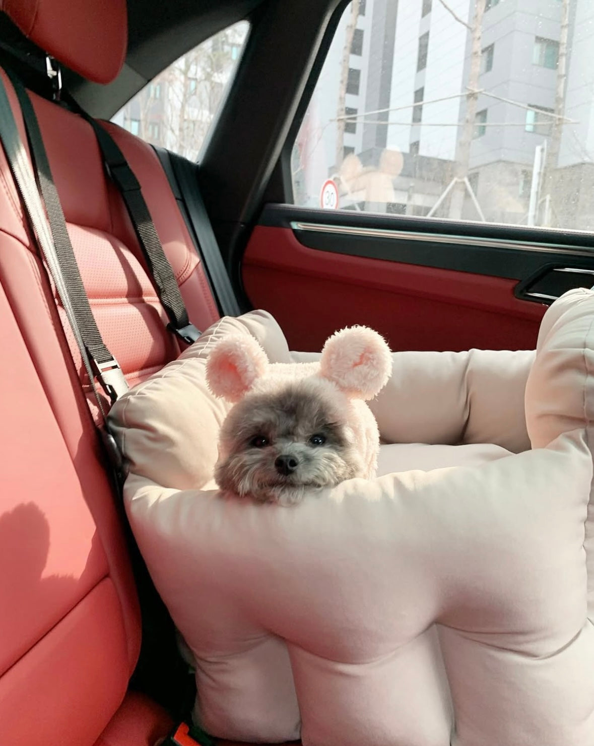 Woolly Creamy Pet Car Seat/ Sofa - kikiandpuppies
