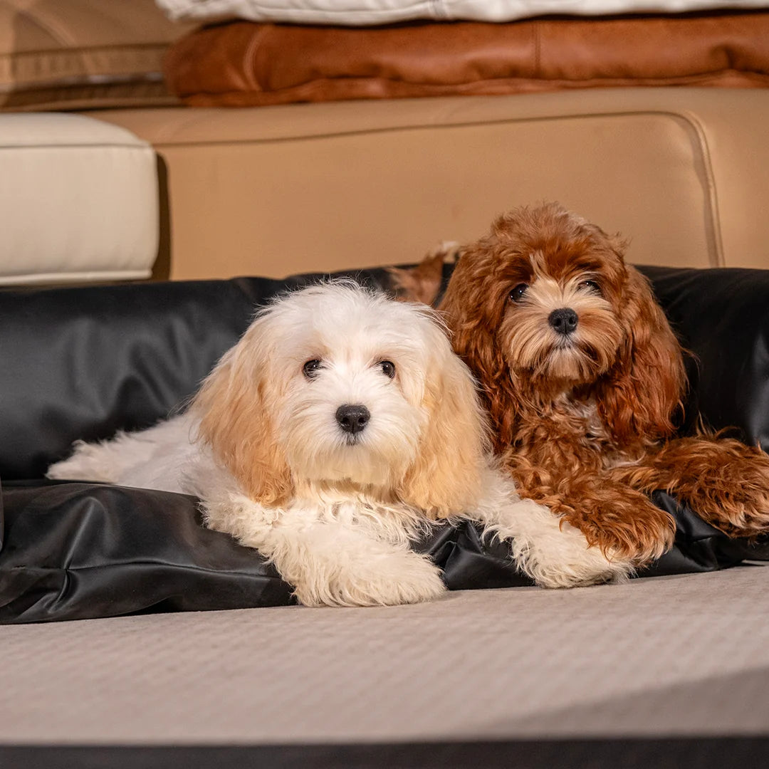 MetroLeather Lounge Pet Bedding