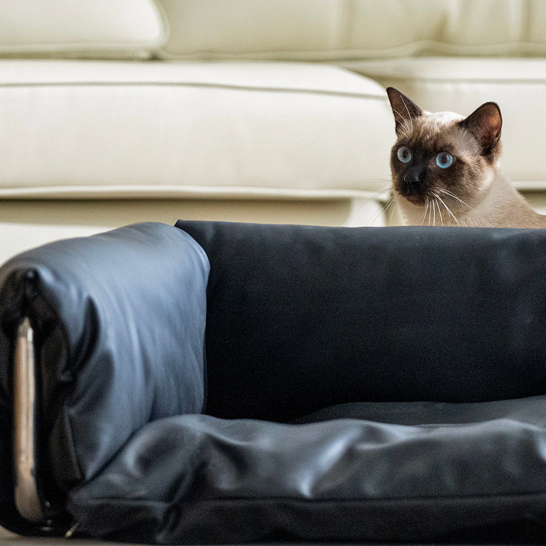 MetroLeather Lounge Pet Bedding