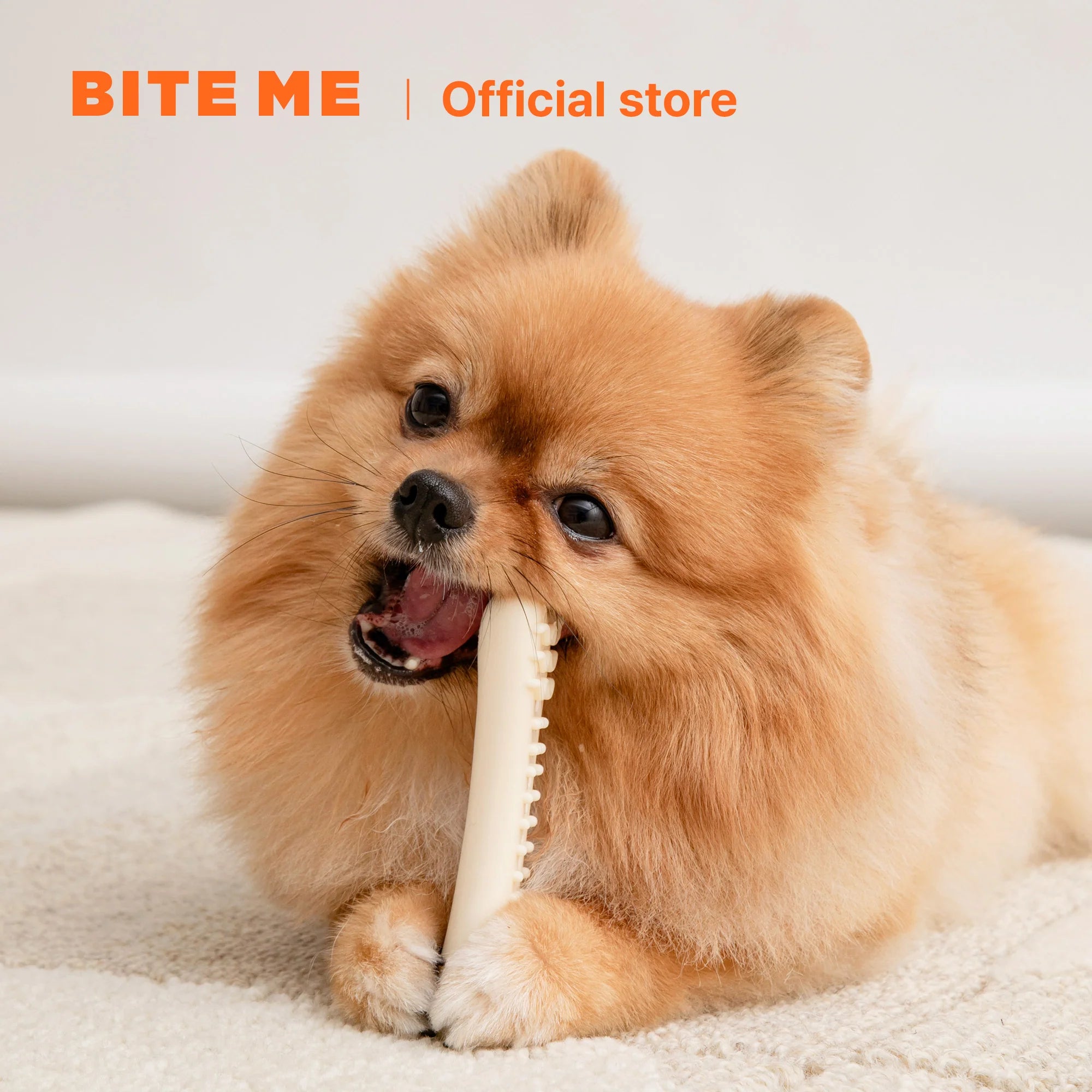 Biteme Buddy Bone Nylon Toy - kikiandpuppies