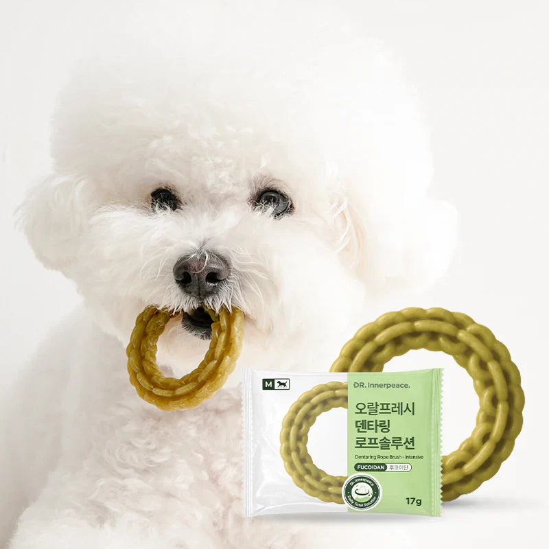 Dental Ring Rope Brush Fucoidan (Antioxidant) - kikiandpuppies