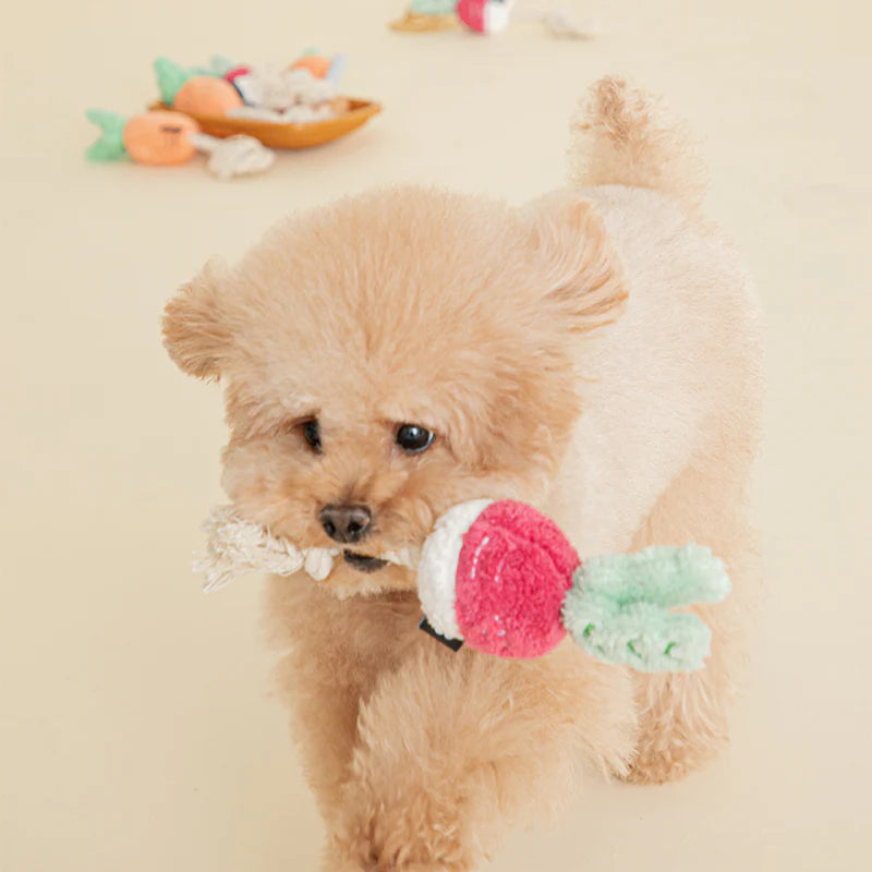 Bite me Root Vegetable Toys (2 colors) - kikiandpuppies