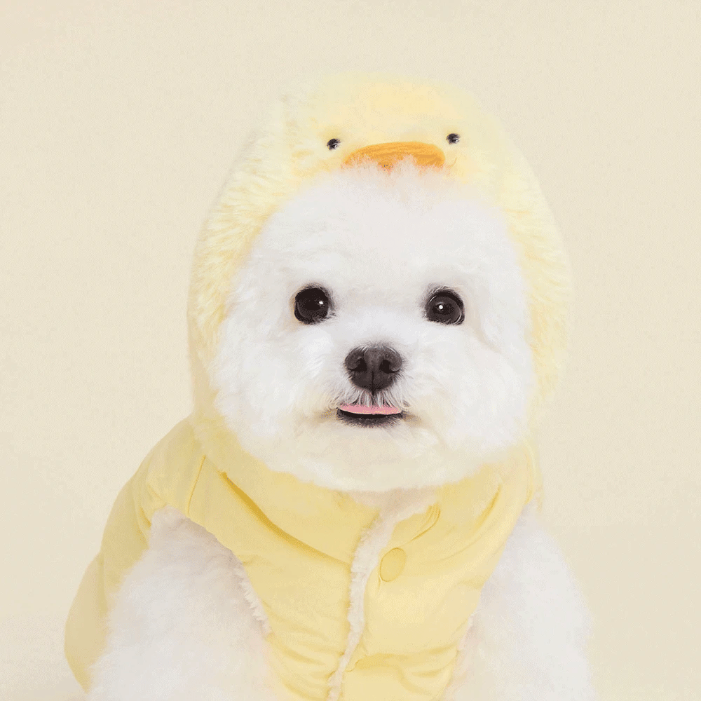 Duck padded jacket