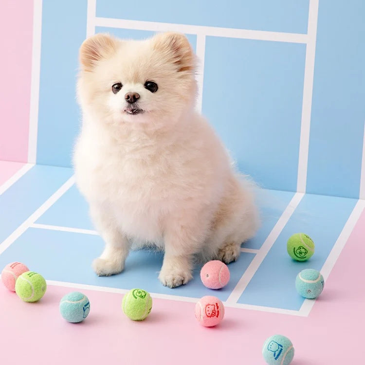 Bite Me Sanrio Characters Tennis Ball Toy Set