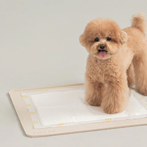 Non Slip Silicone Mat Pet Toilet for Pee Pad - kikiandpuppies