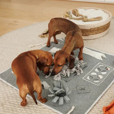 Snuffle Mat (Premium Mat with Treat Ball & Toys) Interactive Dog Toy for Pet Enrichment - Puzzle Feeder for Exercise and Stress Relief - Slow Feeder for Dogs (Deluxe) - kikiandpuppies