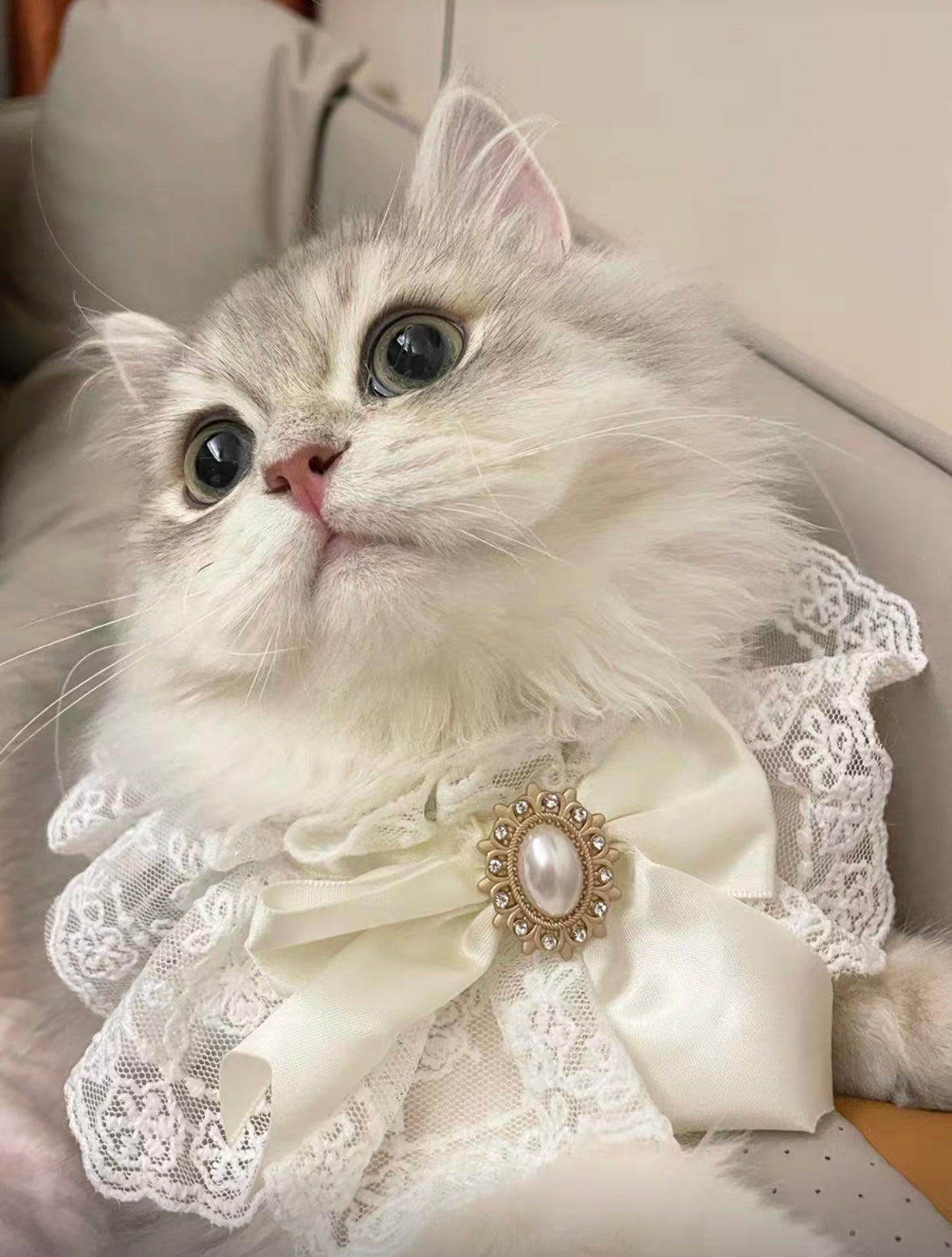 White Bow Tie Drool Bib for Dogs/Cats