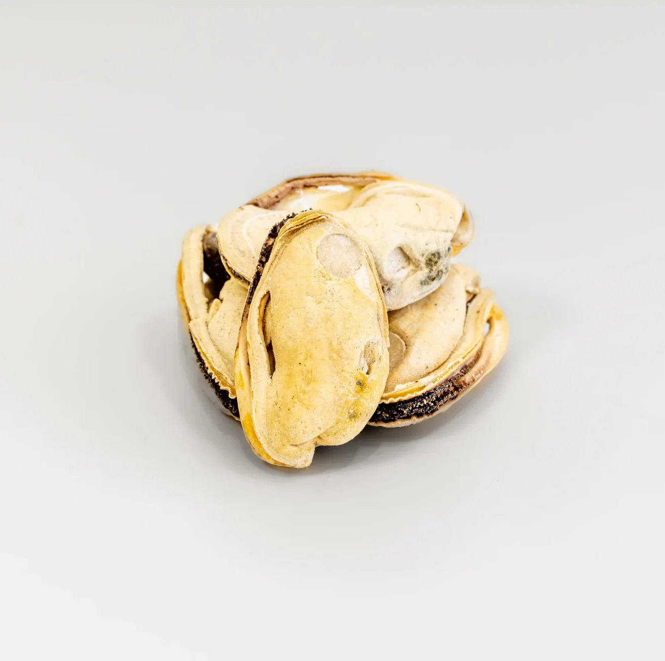 RAFA Raw Freeze-Dried Treats | Human-Grade Green Lipped Mussels - kikiandpuppies
