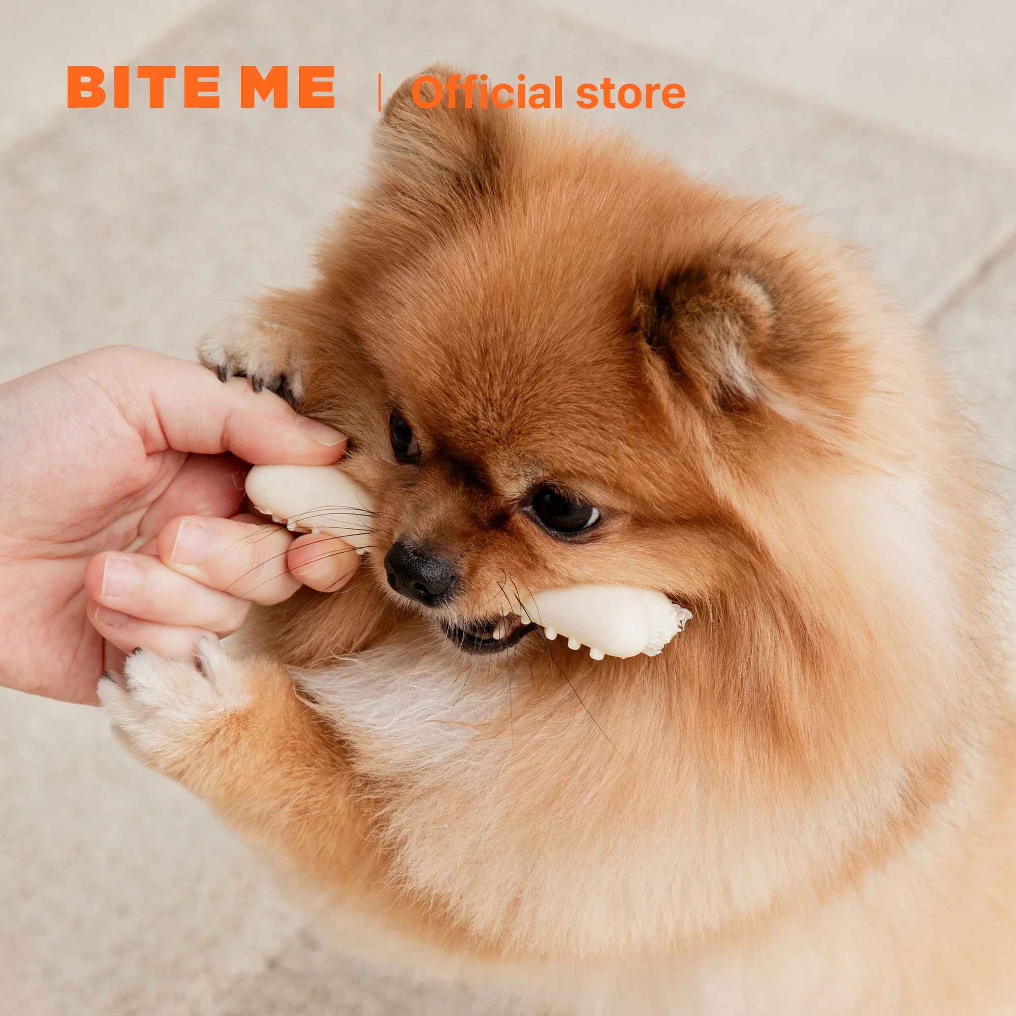 Biteme Buddy Bone Nylon Toy - kikiandpuppies
