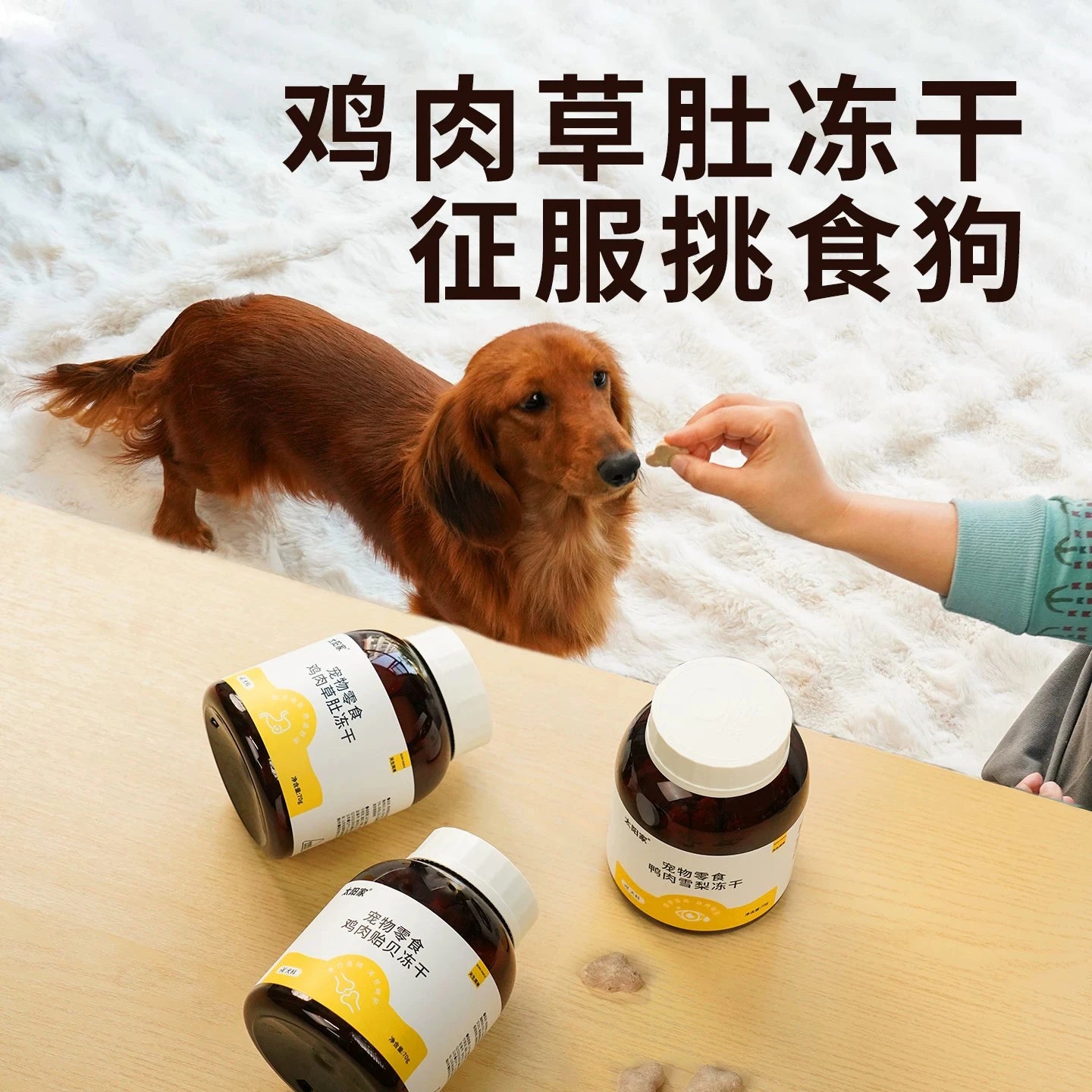 TAI YANG JIA Functional Freeze-Dried Dog Treat – Brown Can Collection - kikiandpuppies