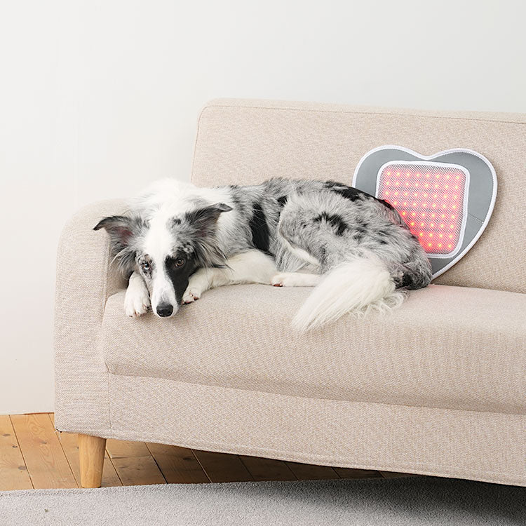 Cirius Pet Near Infrared Joint Pads (Heart-shaped) - kikiandpuppies