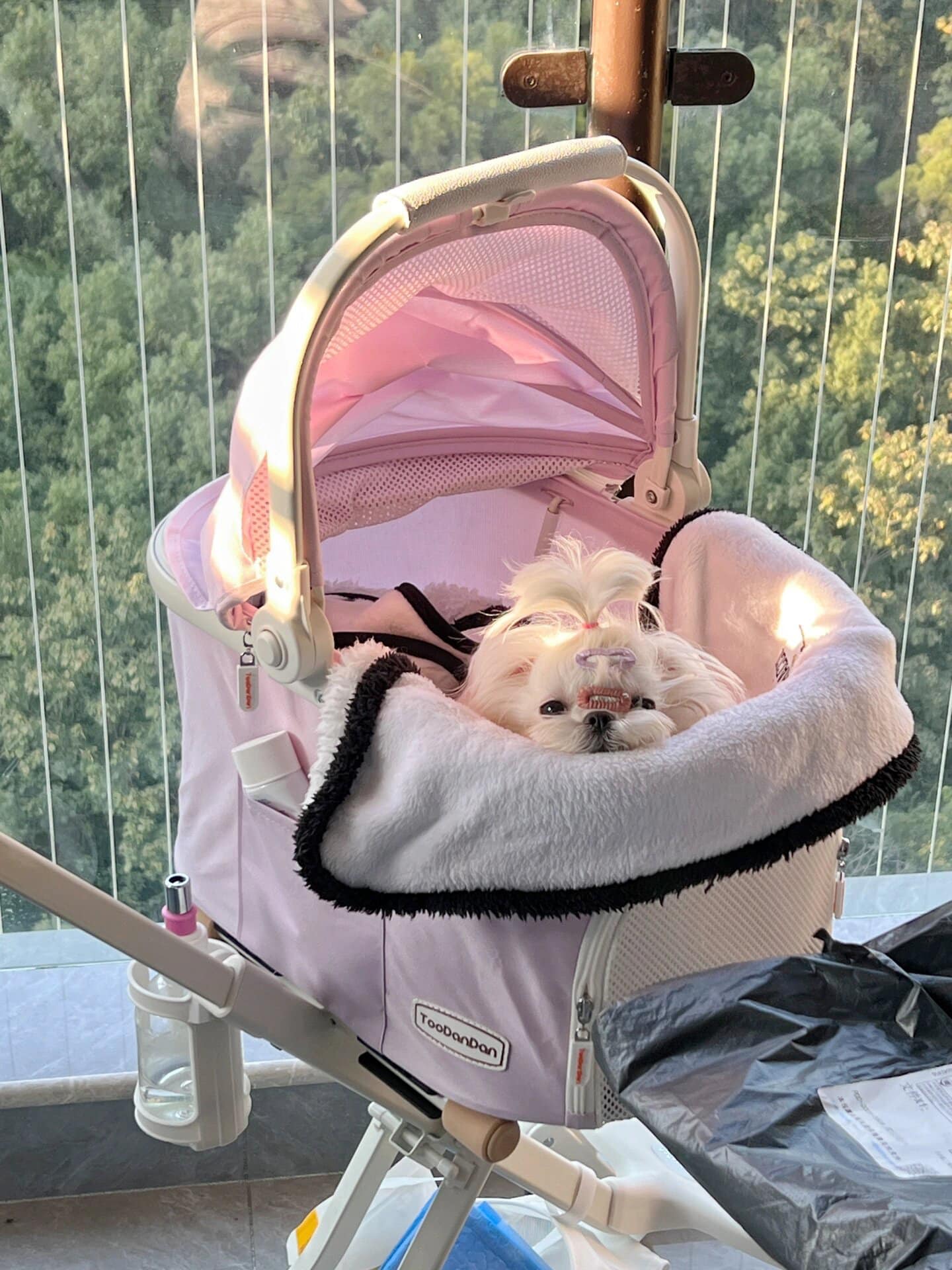 Toodandan Pet Stroller - kikiandpuppies