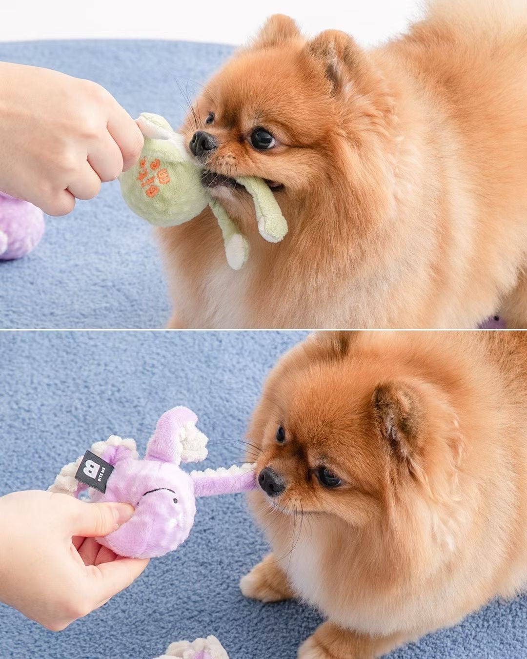 Long Hands Ball Toy - kikiandpuppies