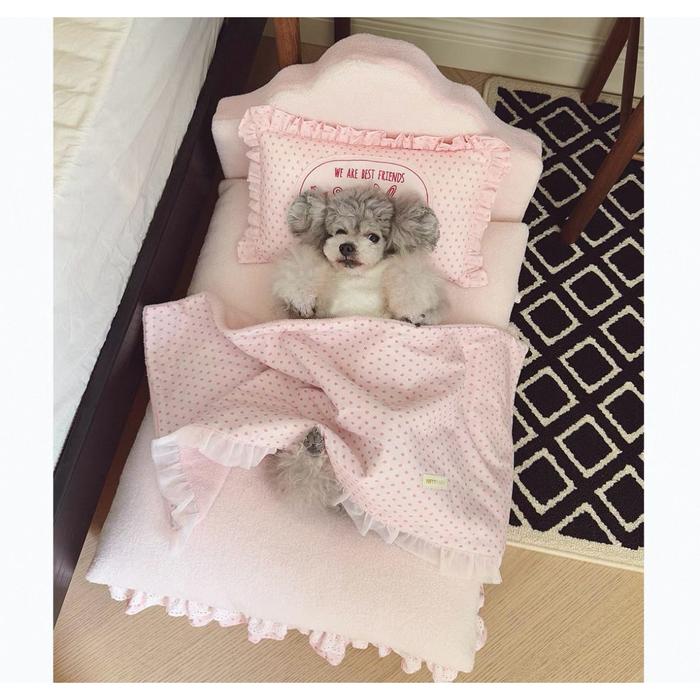 Nifty Fairy Premium Pink Bed Set With Pillow - kikiandpuppies