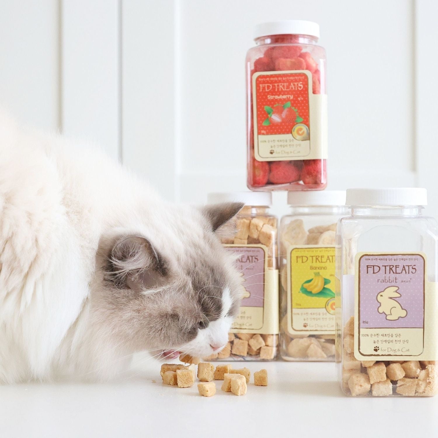 FDTREATS Freeze Dried - Mixed Flavor Set 5*100g