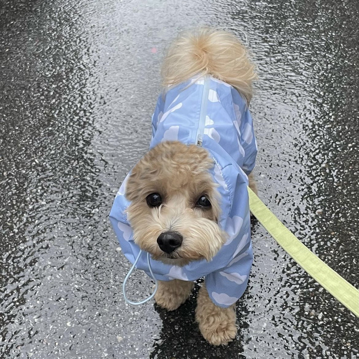 Waterproof Pet Rain Coat with Hood - Full Leg Coverage