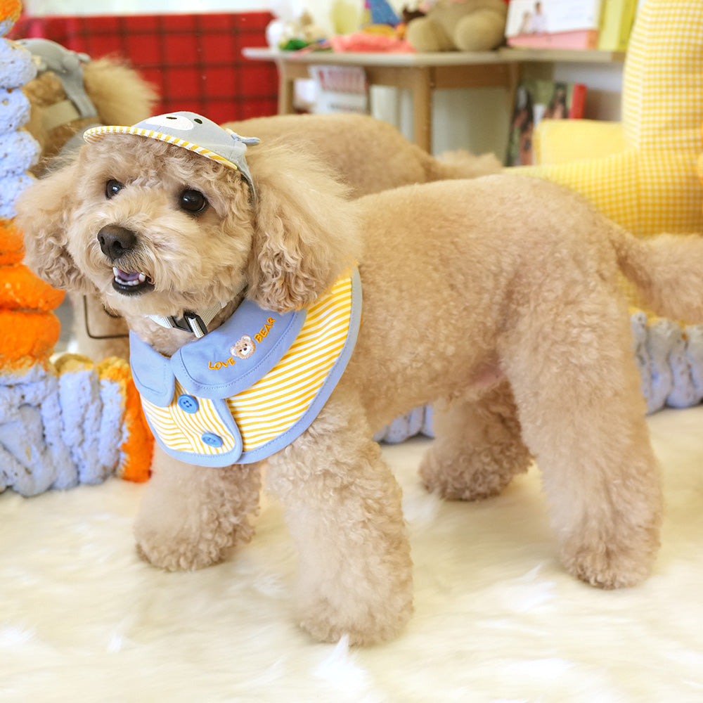 Lovely Teddy Bear Cape&Hat Cap Set