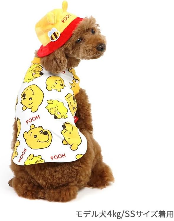 Disney Winnie the Pooh T-shirt with Hat