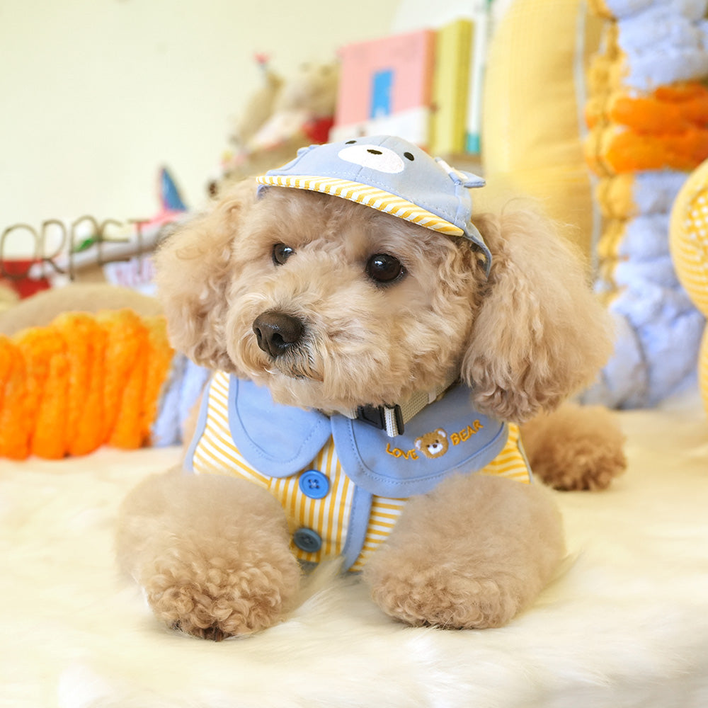 Lovely Teddy Bear Cape&Hat Cap Set