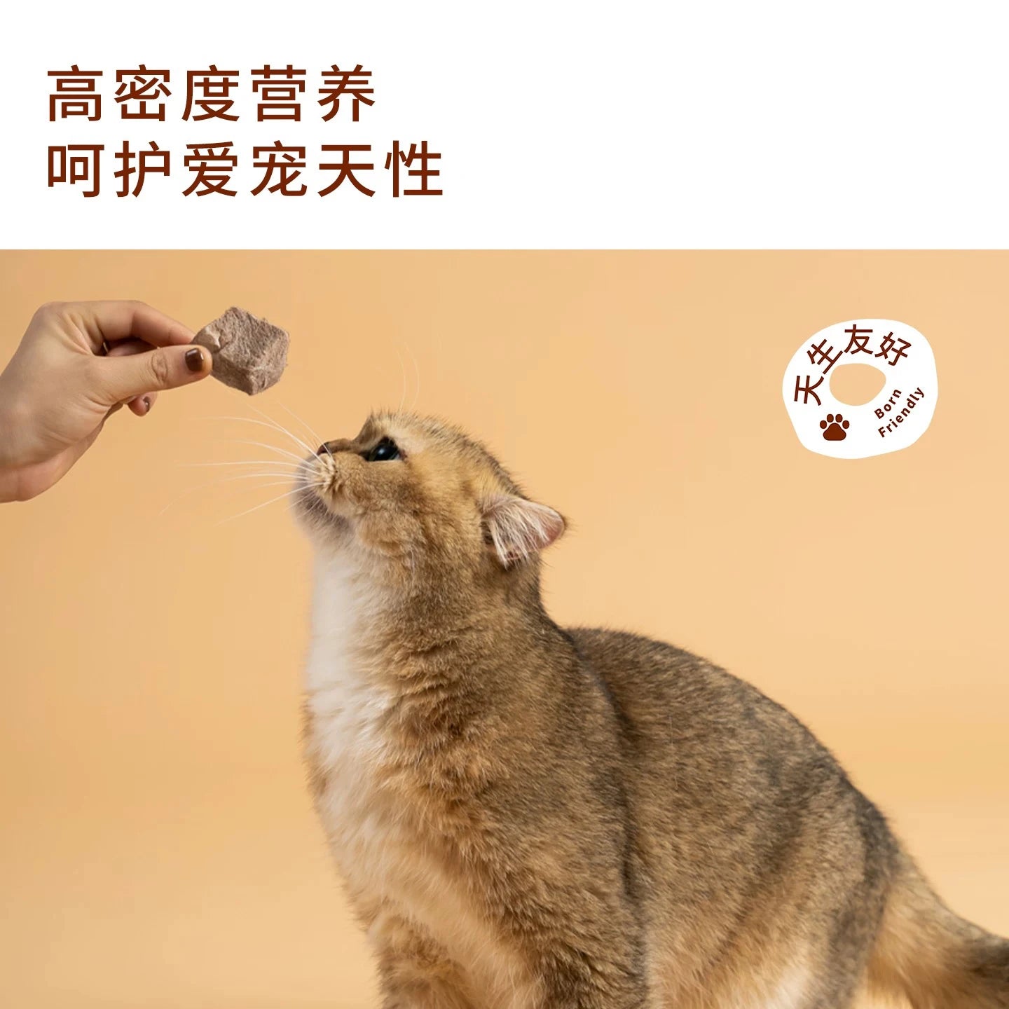 TAI YANG JIA Freeze-Dried Whole Cut Pork Heart Treats 85g - kikiandpuppies
