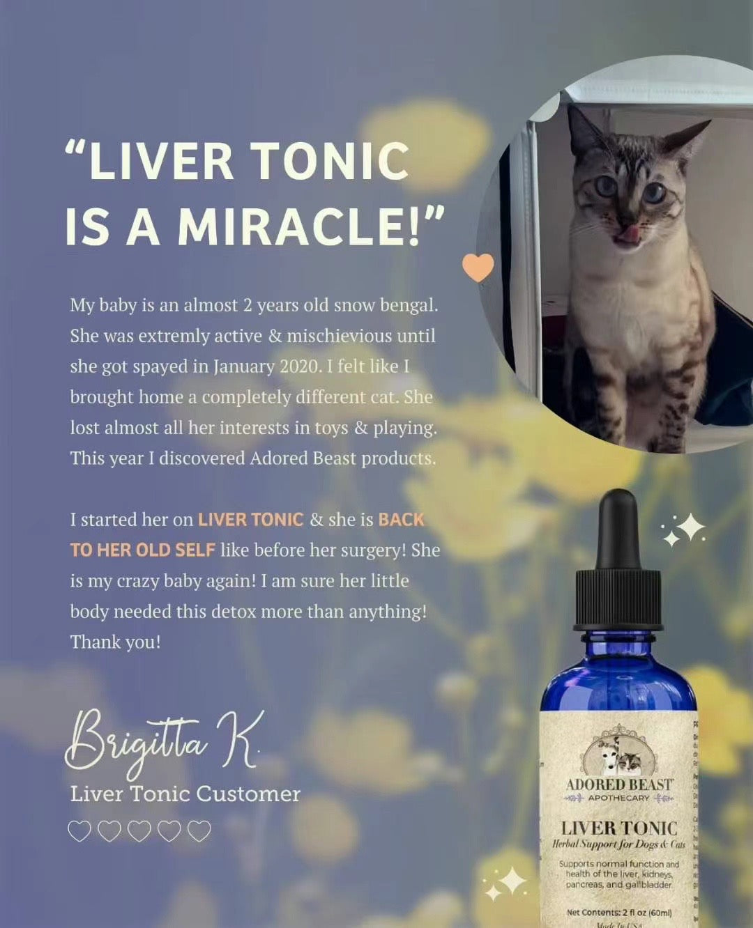 ADORED BEAST Liver Tonic | Support & Detoxifier - kikiandpuppies