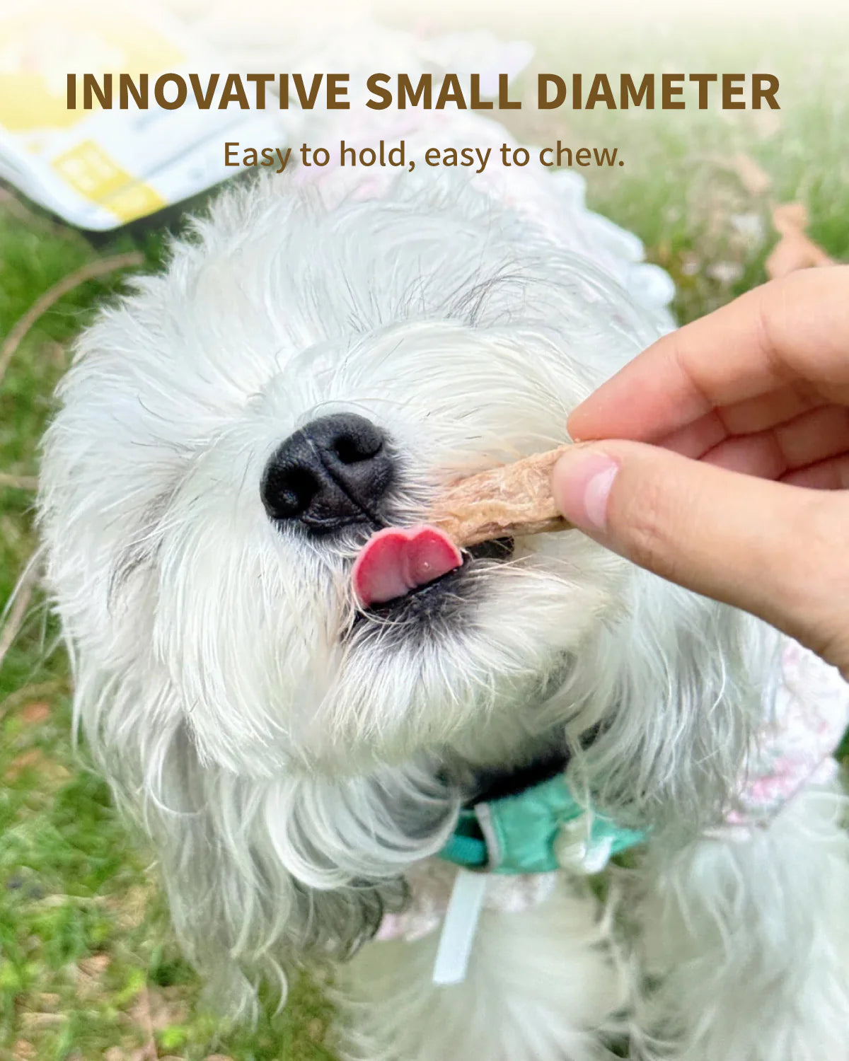 PET-EVER Freeze Dried Raw Cat & Dog Treats Freeze Dried Chicken Necks 100g