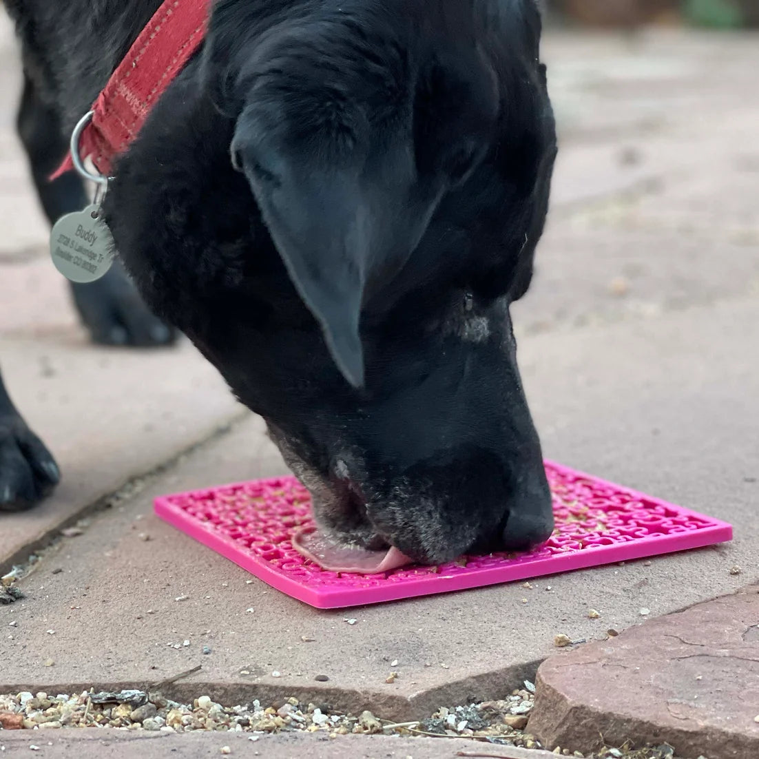 Sodapup Puzzle Lick Mat - kikiandpuppies