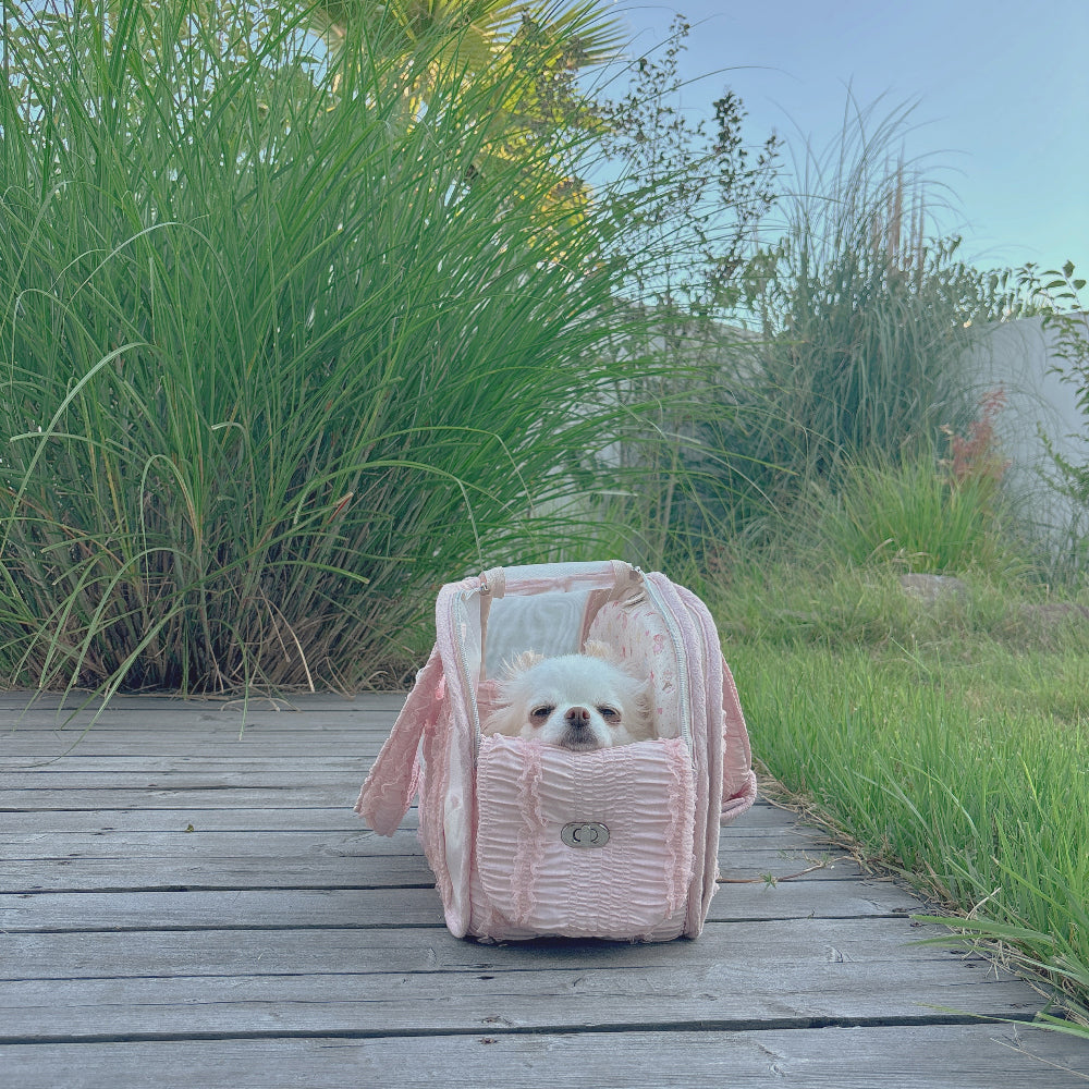 Ajibaek Cube See-through Blush Pink♡ Pet Carrier Bag With Cushion