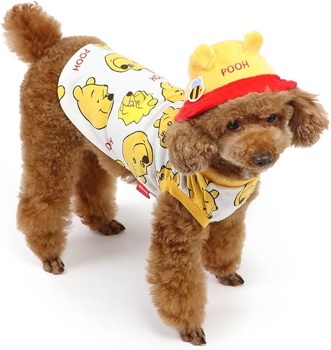 Disney Winnie the Pooh T-shirt with Hat