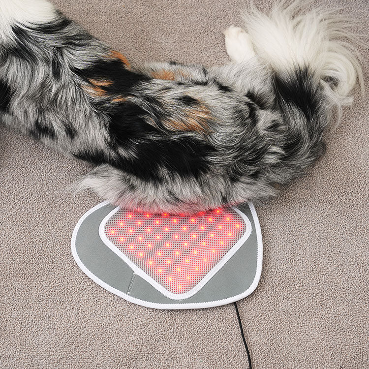 Cirius Pet Near Infrared Joint Pads (Heart-shaped) - kikiandpuppies