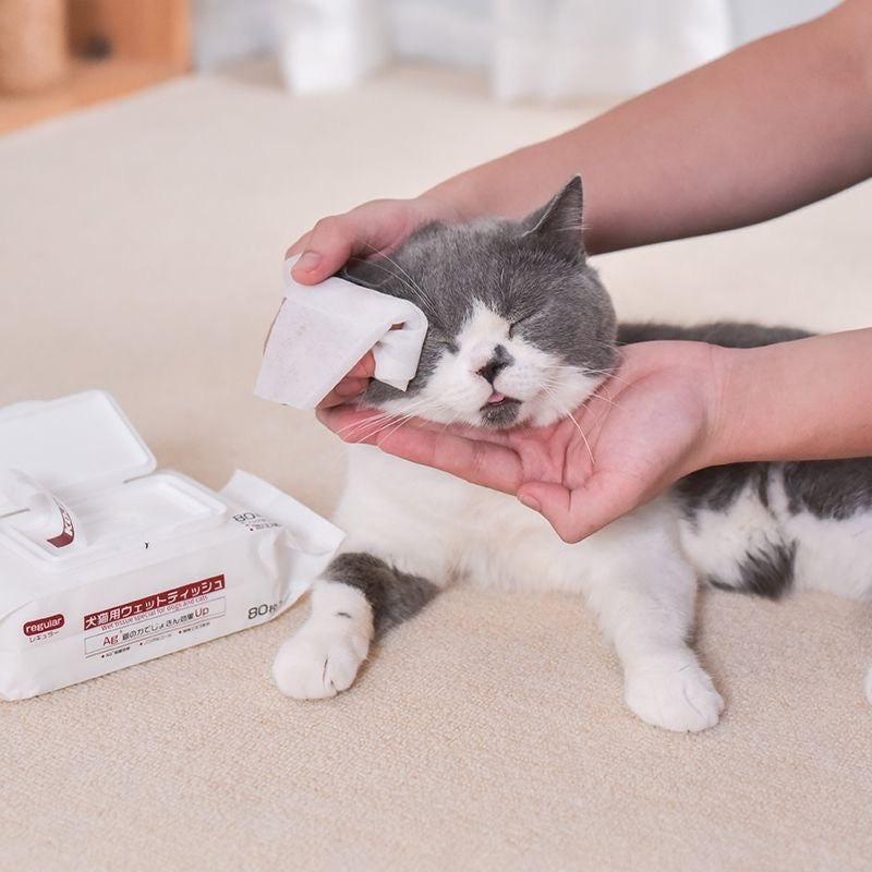 KOJIMA Pet Wipes Original Set 80pcs*5