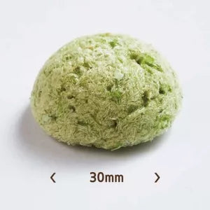 Freeze Dried Green Macaron - Pollack
