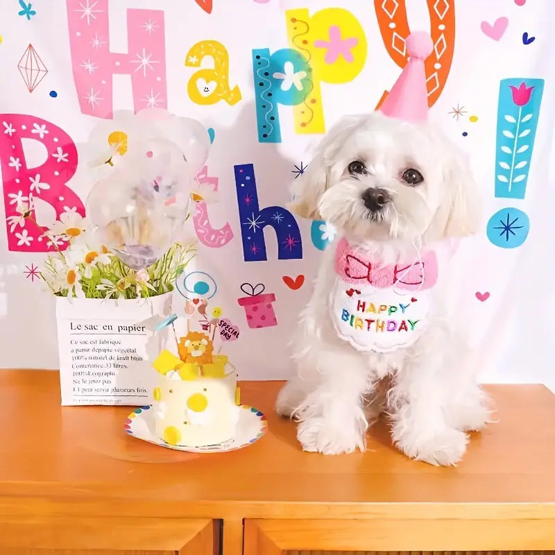 Birthday Bib And Hat For Pets - kikiandpuppies