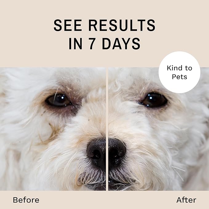 Eye Envy Dog Tear Stain Remover Starter Kit with ProPowder Brush | Stain Solution, Applicator Pads, Stain Powder and Applicator Brush | Lasts 30-45 Days - kikiandpuppies