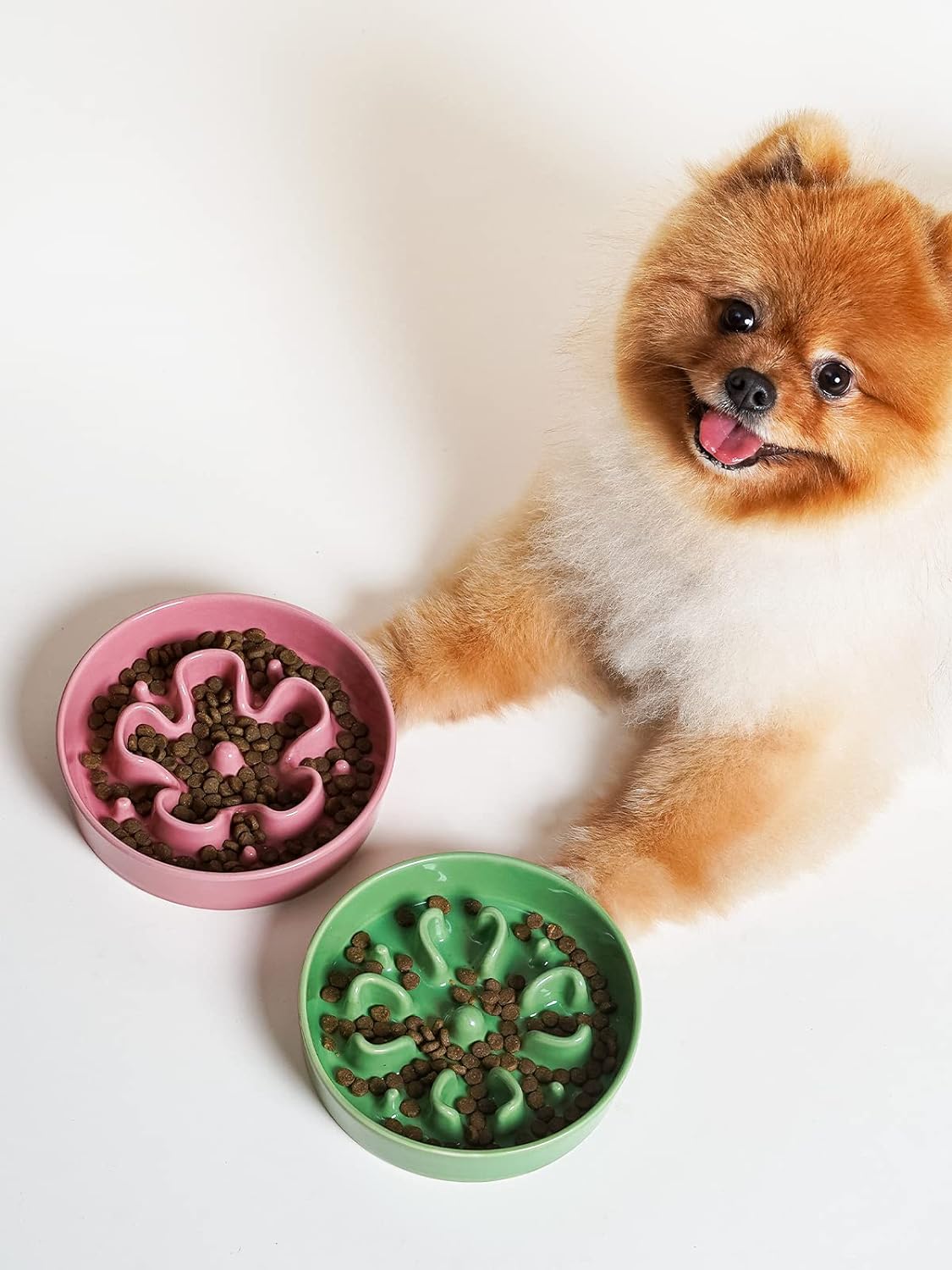 LE TAUCI Slow Feeder Bowl – Durable Ceramic, Healthy Eating for Dogs - kikiandpuppies