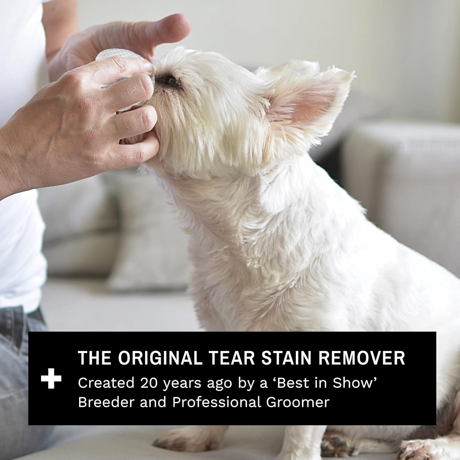 Eye Envy Dog Tear Stain Remover Starter Kit with ProPowder Brush | Stain Solution, Applicator Pads, Stain Powder and Applicator Brush | Lasts 30-45 Days - kikiandpuppies