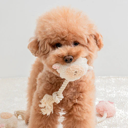 Animal Tug Toy - kikiandpuppies
