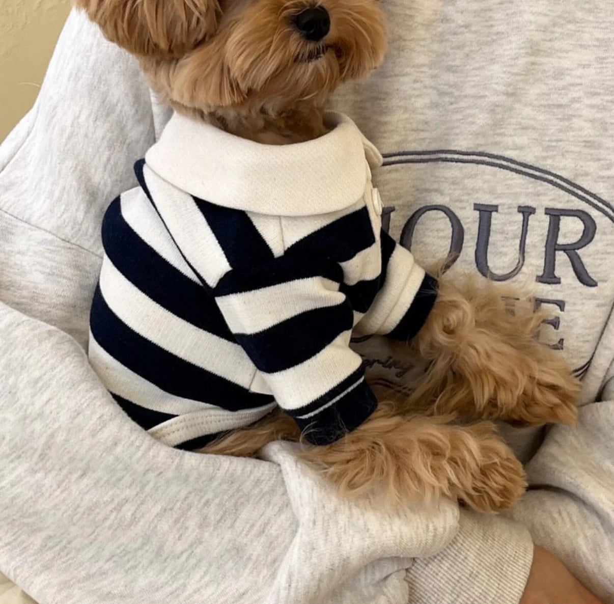 Classic Striped Polo Shirt - 2 Colors - kikiandpuppies