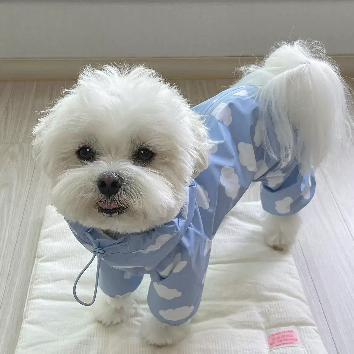 Waterproof Pet Rain Coat with Hood - Full Leg Coverage