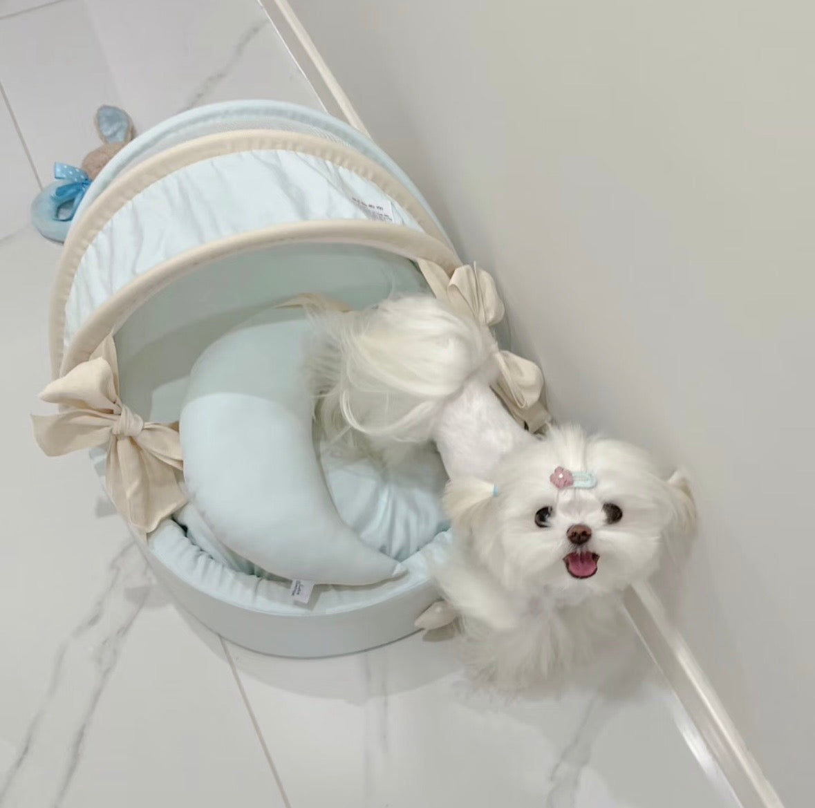 Petman Star Dream Blue Basket Two sides Washable Pet Nest Bed - kikiandpuppies