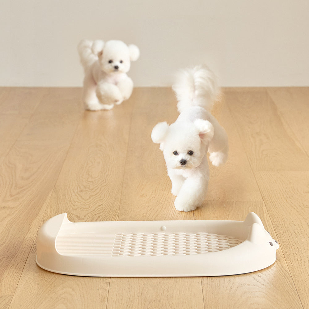 Doggy potty pad
