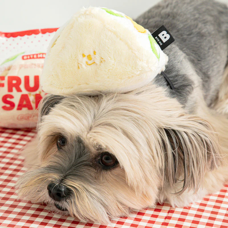 Fruit Sandwich Toy - kikiandpuppies