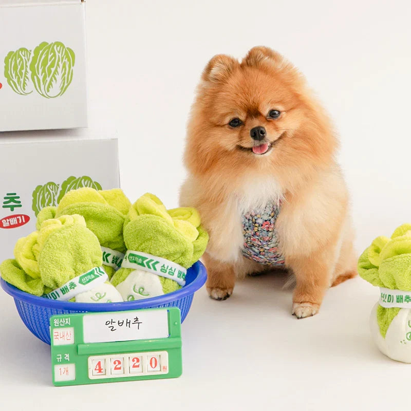 Napa Cabbage Nosework Toy