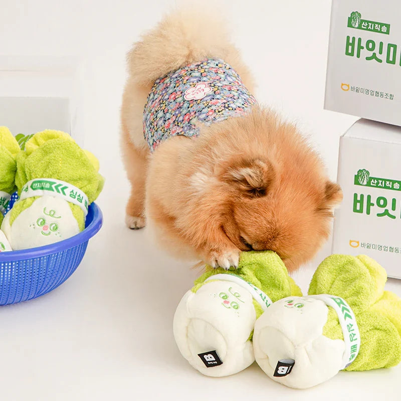 Napa Cabbage Nosework Toy